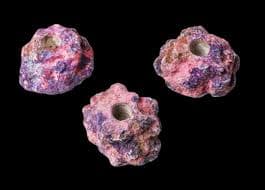 Eco Rock Single Frag Holder