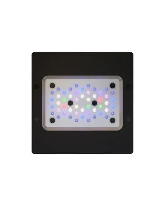 Radion XR-15 Gen 6 Pro