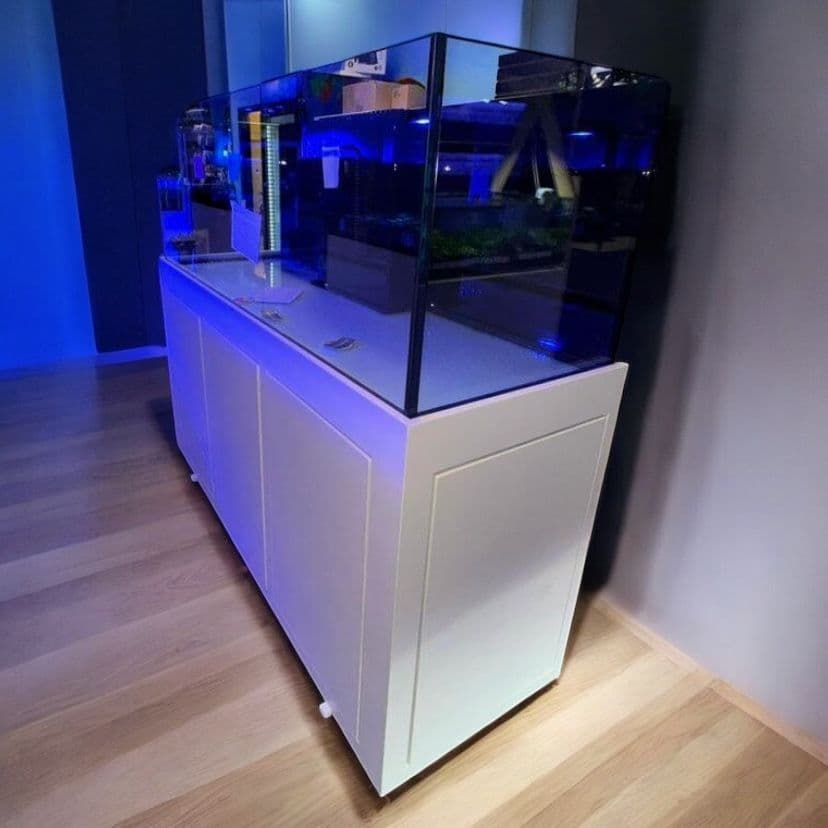 Glass Cages Rimless 180