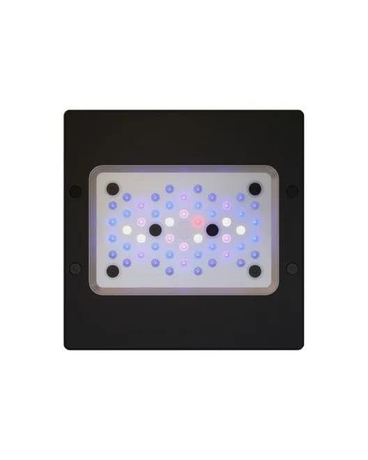 Radion XR-15 Gen 6 Blue